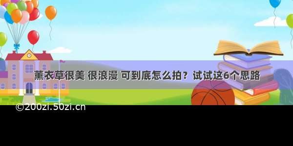 薰衣草很美 很浪漫 可到底怎么拍？试试这6个思路