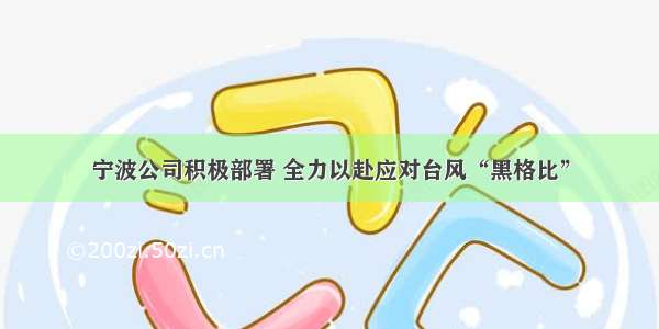 宁波公司积极部署 全力以赴应对台风“黑格比”