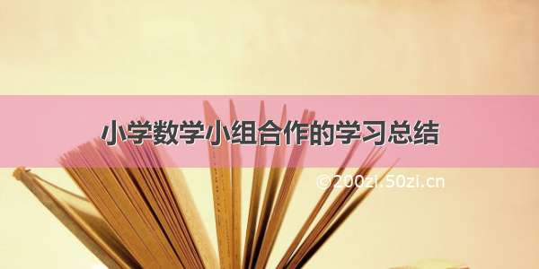 小学数学小组合作的学习总结