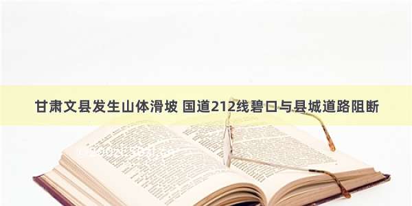 甘肃文县发生山体滑坡 国道212线碧口与县城道路阻断