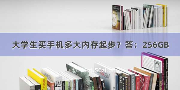 大学生买手机多大内存起步？答：256GB