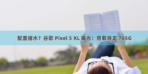 配置缩水？谷歌 Pixel 5 XL 曝光：搭载骁龙 765G