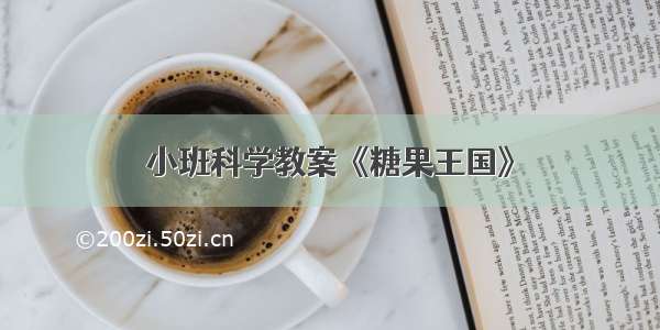 小班科学教案《糖果王国》