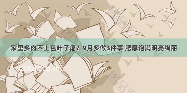 家里多肉不上色叶子瘪？9月多做3件事 肥厚饱满明亮绚丽