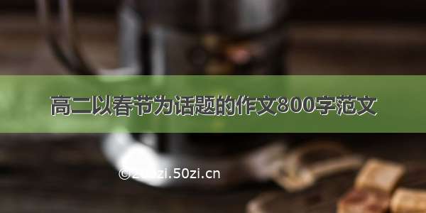 高二以春节为话题的作文800字范文