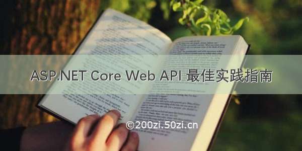 ASP.NET Core Web API 最佳实践指南