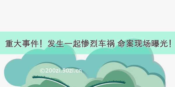 重大事件！发生一起惨烈车祸 命案现场曝光！