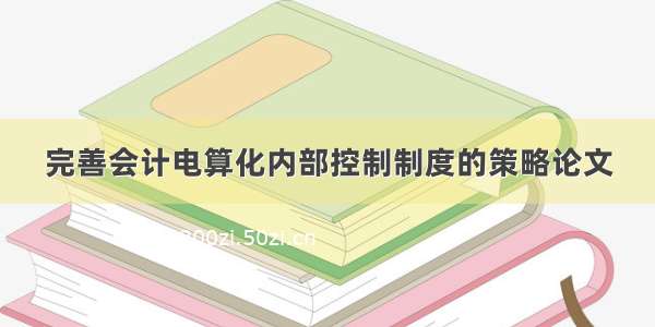 完善会计电算化内部控制制度的策略论文