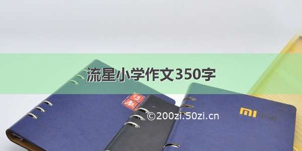 流星小学作文350字