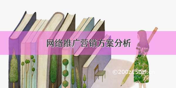 网络推广营销方案分析