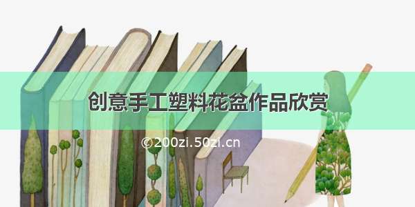 创意手工塑料花盆作品欣赏