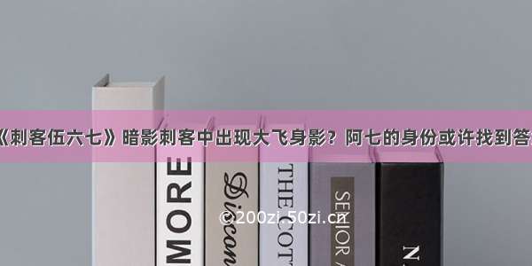 《刺客伍六七》暗影刺客中出现大飞身影？阿七的身份或许找到答案