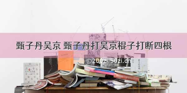 甄子丹吴京 甄子丹打吴京棍子打断四根