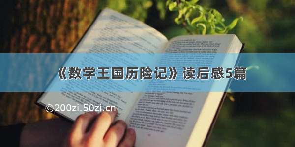 《数学王国历险记》读后感5篇