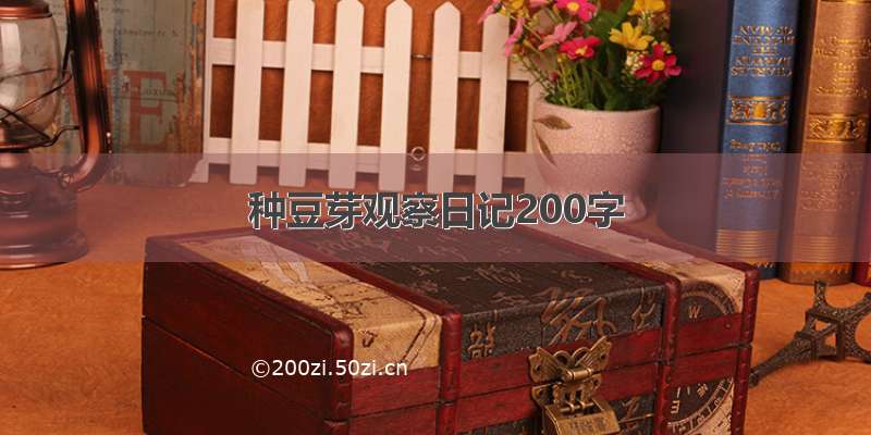 种豆芽观察日记200字