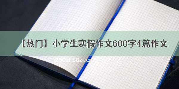 【热门】小学生寒假作文600字4篇作文