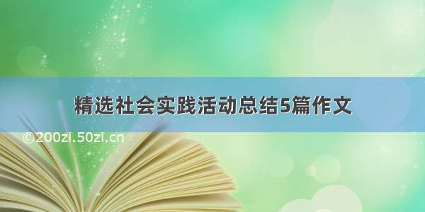 精选社会实践活动总结5篇作文