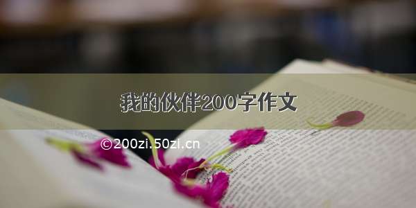 我的伙伴200字作文