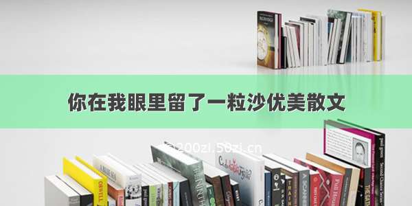 你在我眼里留了一粒沙优美散文