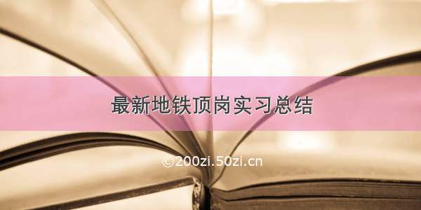 最新地铁顶岗实习总结