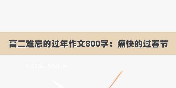 高二难忘的过年作文800字：痛快的过春节