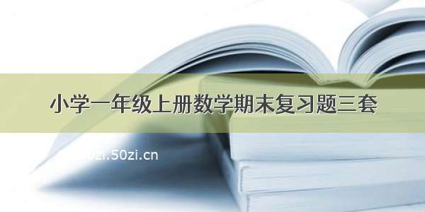 小学一年级上册数学期末复习题三套