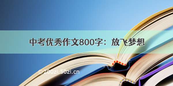 中考优秀作文800字：放飞梦想