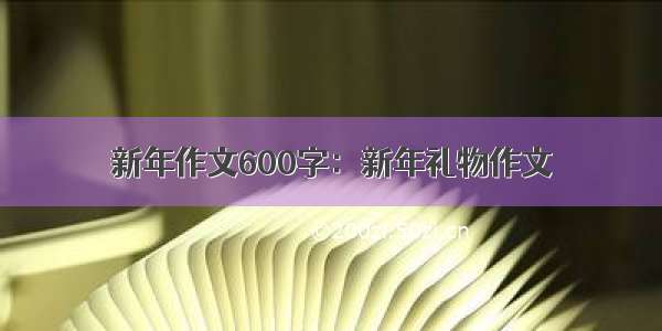 新年作文600字：新年礼物作文