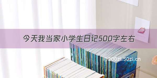 今天我当家小学生日记500字左右