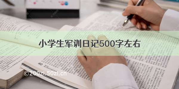 小学生军训日记500字左右