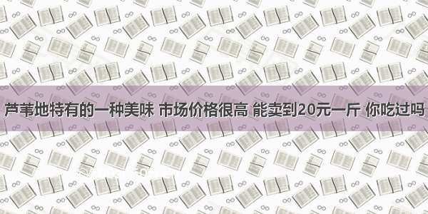 芦苇地特有的一种美味 市场价格很高 能卖到20元一斤 你吃过吗