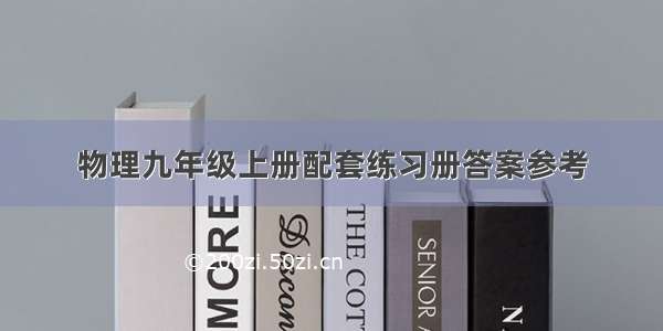 物理九年级上册配套练习册答案参考