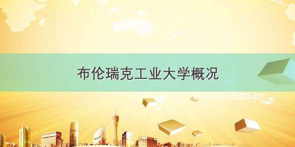 布伦瑞克工业大学概况