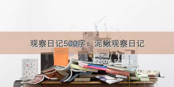 观察日记500字：泥鳅观察日记