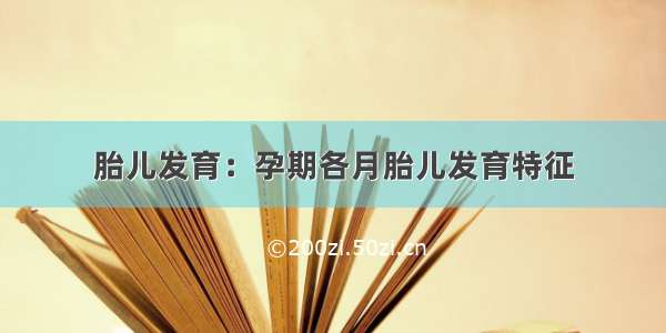 胎儿发育：孕期各月胎儿发育特征