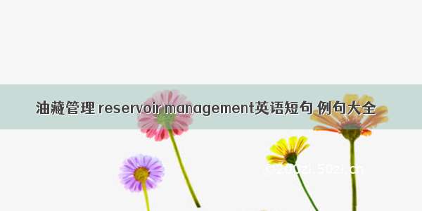 油藏管理 reservoir management英语短句 例句大全