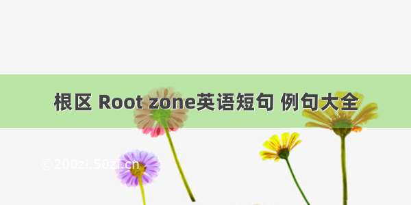 根区 Root zone英语短句 例句大全