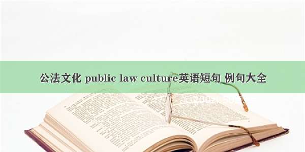 公法文化 public law culture英语短句 例句大全