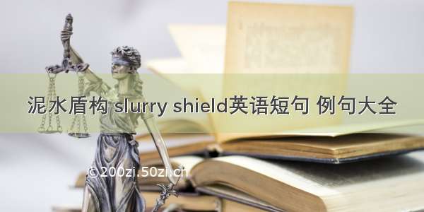 泥水盾构 slurry shield英语短句 例句大全