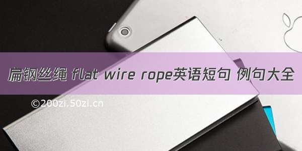 扁钢丝绳 flat wire rope英语短句 例句大全