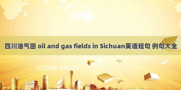 四川油气田 oil and gas fields in Sichuan英语短句 例句大全