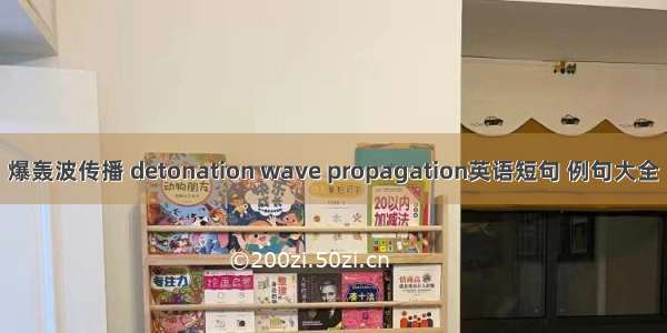 爆轰波传播 detonation wave propagation英语短句 例句大全