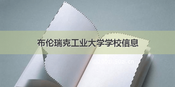 布伦瑞克工业大学学校信息