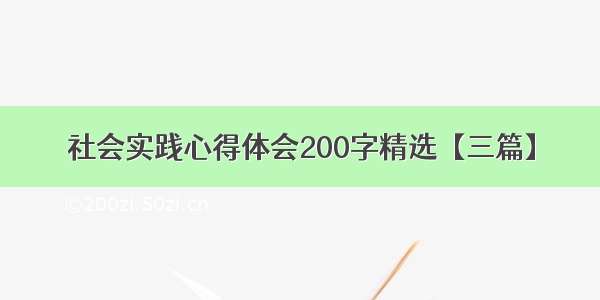 社会实践心得体会200字精选【三篇】