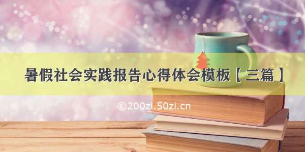 暑假社会实践报告心得体会模板【三篇】