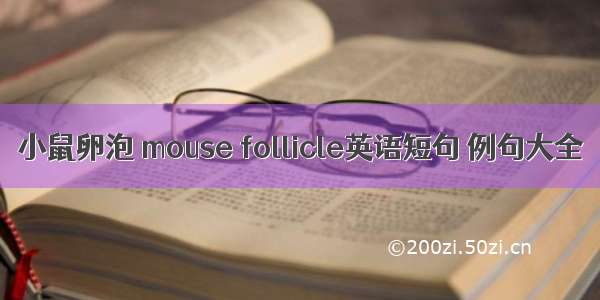 小鼠卵泡 mouse follicle英语短句 例句大全