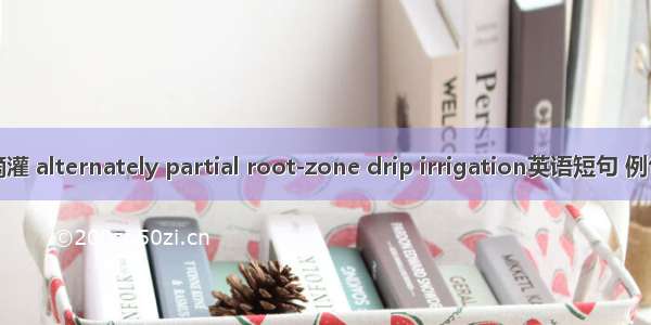 交替滴灌 alternately partial root-zone drip irrigation英语短句 例句大全