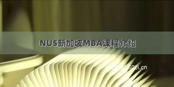 NUS新加坡MBA课程介绍