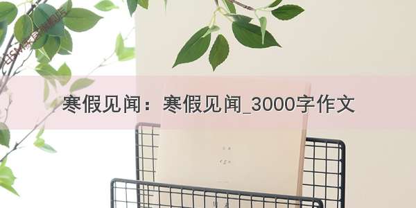 寒假见闻：寒假见闻_3000字作文