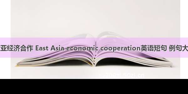 东亚经济合作 East Asia economic cooperation英语短句 例句大全